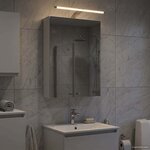 vidaXL Armoire Miroir de Salle de Bain Blanc 40 x 10 5 x 60 5 cm