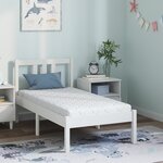 vidaXL Matelas Blanc 160 x 80 cm Mousse
