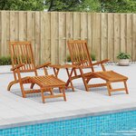 vidaXL Chaise longue inclinable et pliable 2 Pièces 55 x 146 x 91 cm
