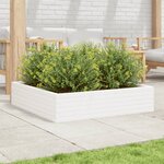vidaXL Jardinière blanc 100x100x23 cm bois de pin massif