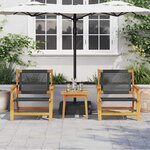 vidaXL Chaises de jardin avec table 3 Pièces Noir 45 x 45 x 40 cm