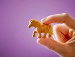 LEGO Friends - Ranch et Écuries des Poneys - Set de Construction 42654 pour Enfants
