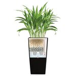 LECHUZA Jardinière Cubico Color 30 ALL-IN-ONE ardoise 13138