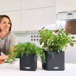 Lechuza jardinière de table cube color 16 all-in-one anthracite