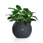 LECHUZA Jardinière PURO Color 50 ALL-IN-ONE diamètre 50 cm ardoise