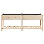 Jardinière vidaXL avec étagère 203x53x76 cm en bois massif de sapin