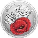 Pièce de monnaie en Argent 20 Dollars g 31.39 Millésime 2025 REMEMBRANCE DAY