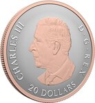 Pièce de monnaie en Argent 20 Dollars g 31.1 (1 oz) Millésime 2026 CELEBRATE LOVE