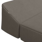 vidaXL Canapé-lit pliable Gris clair 120 x 60 x 49 cm Tissu