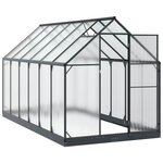 vidaXL Serre de jardin avec porte Anthracite 183 5 x 363 5 x 207 cm