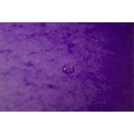 Chemise À Élastique Sans Rabat Carte Lustrée 400gm2 - A4 - Violet - X 25 - Exacompta