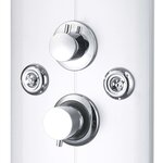 vidaXL Panneau de douche 25 x 43 x 120 cm Argenté
