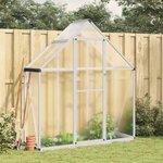 vidaXL Serre avec cadre de base argent 169x58x195 cm aluminium