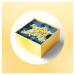 Trieur de pièces de Puzzle - Empilable - Puzzles de 300 à 1000 pièces