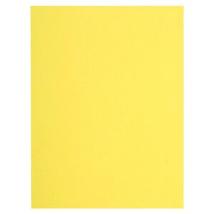 Paquet De 100 Sous-chemises Flash 80 100  Recyclé - 22x31cm - Canari - X 10 - Exacompta