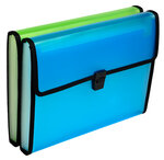 Trieur à soufflets 13C Chroma ass x 5 EXACOMPTA