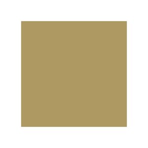 Pack de 25 Cartes Simples 210g 160x160 or Clairefontaine