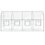 vidaXL Serre Transparent 160x400x190 cm PVC et acier enduit de poudre