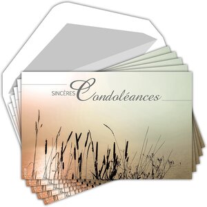 Lot 5 cartes remerciements condoléances +5 enveloppes blanches format 9x14cm