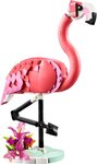 LEGO Creator 3-en-1 - Animaux sauvages : Flamant rose (31170) - Un univers de construction créatif