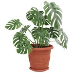 vidaXL Pots de plantes 6 Pièces Rouge brique Ø 26 x 21.5 cm Plastique