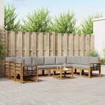 vidaXL Ensemble de canapés d'extérieur 11 Pièces Gris Naturel et Clair