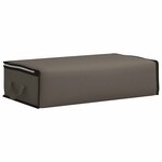vidaXL Boîte de rangement avec fenêtre latérale transparente Gris