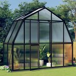 vidaXL Serre avec cadre de base anthracite 3 3 m² aluminium