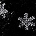 vidaXL Sapin de Noël et flocons de neige LED Noir 64 cm Fibre optique
