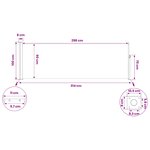 vidaXL Store latéral rétractable 300 x 100 cm Polyester Rectangulaire
