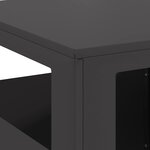 vidaXL Braise Noir 35 x 35 x 100 cm Acier laminé à froid