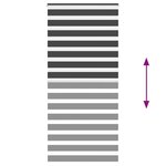 vidaXL Store zèbre noir 110x200 cm largeur du tissu 105 9 cm polyester