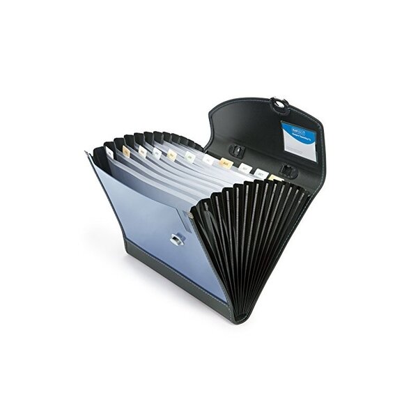 Rapesco Trieur Valisette avec 13 Compartiments A4+