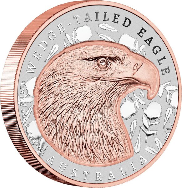 Monnaie WEDGE-TAILED EAGLE Native Impressions 1 Oz Argent 2$ Niue 2026