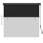 vidaXL Store roulant d'extérieur 170 x 250 cm Anthracite