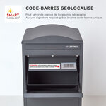 Boîte à colis incurvée 1 porte Large Gris foncé Acier galvanisé SMART PARCEL BOX™
