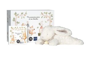 Ma première pièce - Coffret : Monnaie de 5€ Argent BE colorisée + doudou