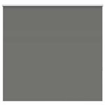 vidaXL Store enrouleur occultant largeur du tissu 146 6 cm polyester