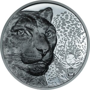Monnaie SNOW LEOPARD Wild Mongolia 2 Oz Argent 1000 Togrog Mongolia 2024 (PRÉCOMMANDE)
