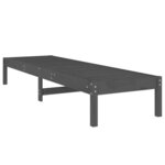 vidaXL Chaises longues lot de 2 gris 199 5x60x74 cm bois massif de pin