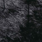 vidaXL Tapis Shaggy à poils longs NAVARRA noir 130x200 cm polyester