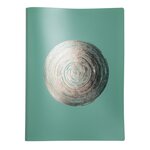 Protège-documents En Pp Recyclé Semi-rigide Ellipse 80 Vues - A4 - Couleurs Assorties - Exacompta