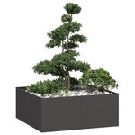 vidaXL Jardinière noir 100x100x40 cm acier