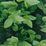 vidaXL Écran d'intimité de jardin PVC 70x0 19 m Vert