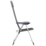 vidaXL Chaise de camping lot de 2 Gris 58x69x111 cm Aluminium