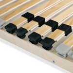 vidaXL Sommier à lattes sans matelas avec 28 lattes 7 zones 100x200 cm