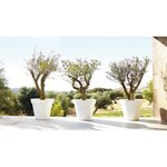ARTEVASI Pot de fleurs Capri - 60 cm - Blanc