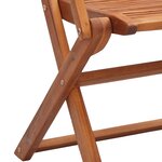 vidaXL Chaises pliantes de jardin avec accoudoir lot de 2