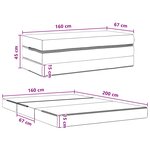vidaXL Canapé-lit pliable 160 x 67 x 45 cm Noir