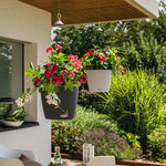 LECHUZA Jardinière suspendue NIDO Cottage 28 ALL-IN-ONE Granite